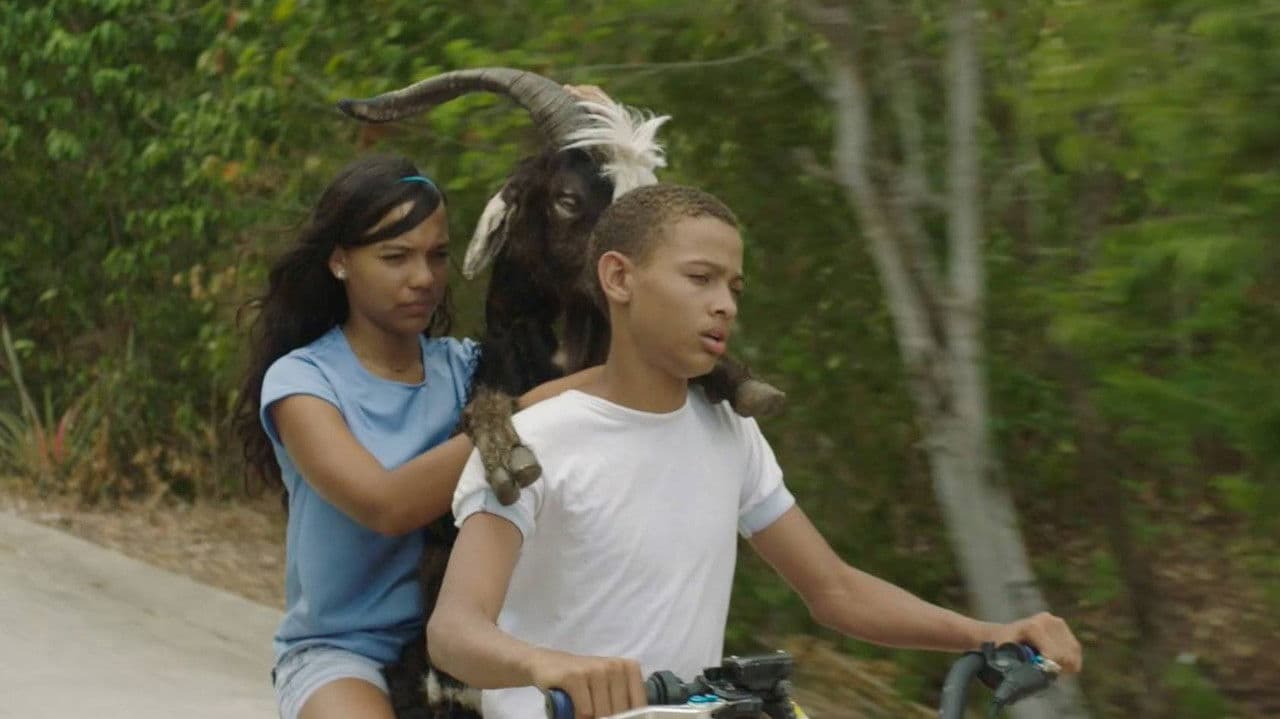 Backdrop – El día de la cabra