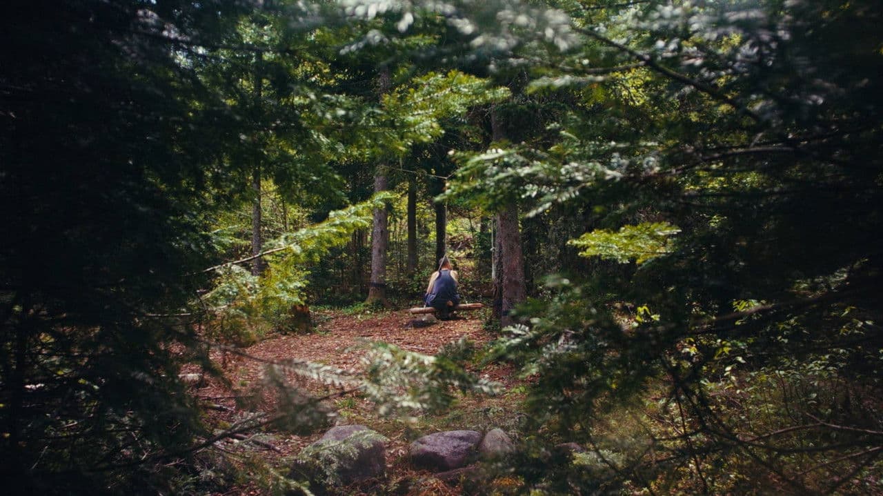 Backdrop – Carnaval