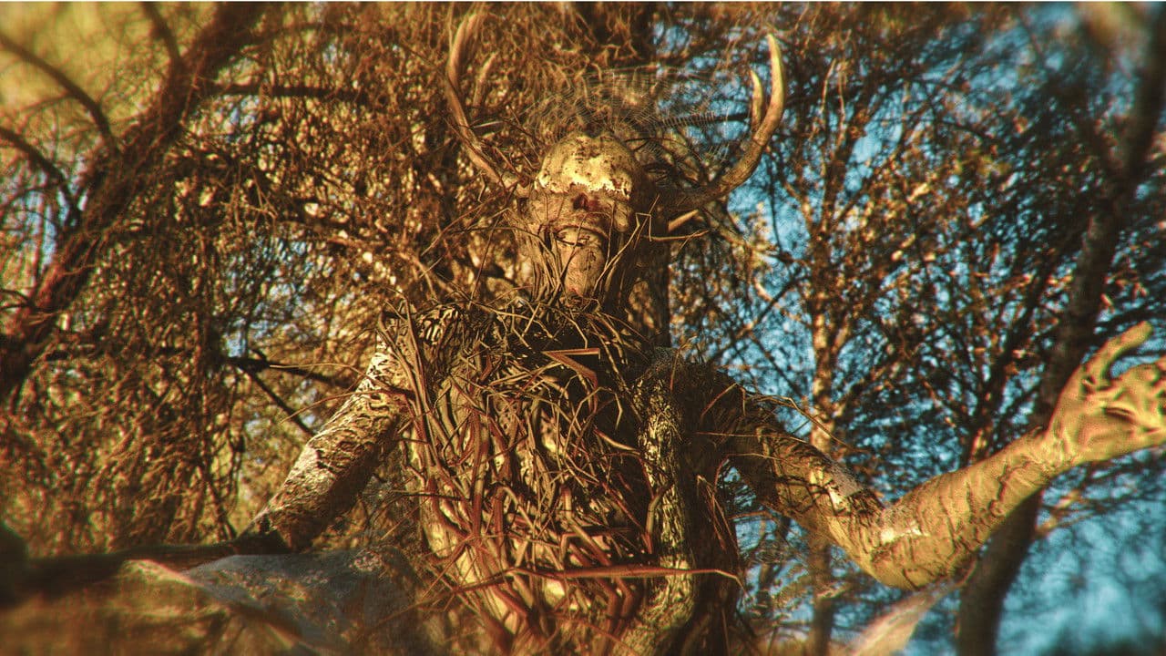 Backdrop – La Bestia en el Bosque