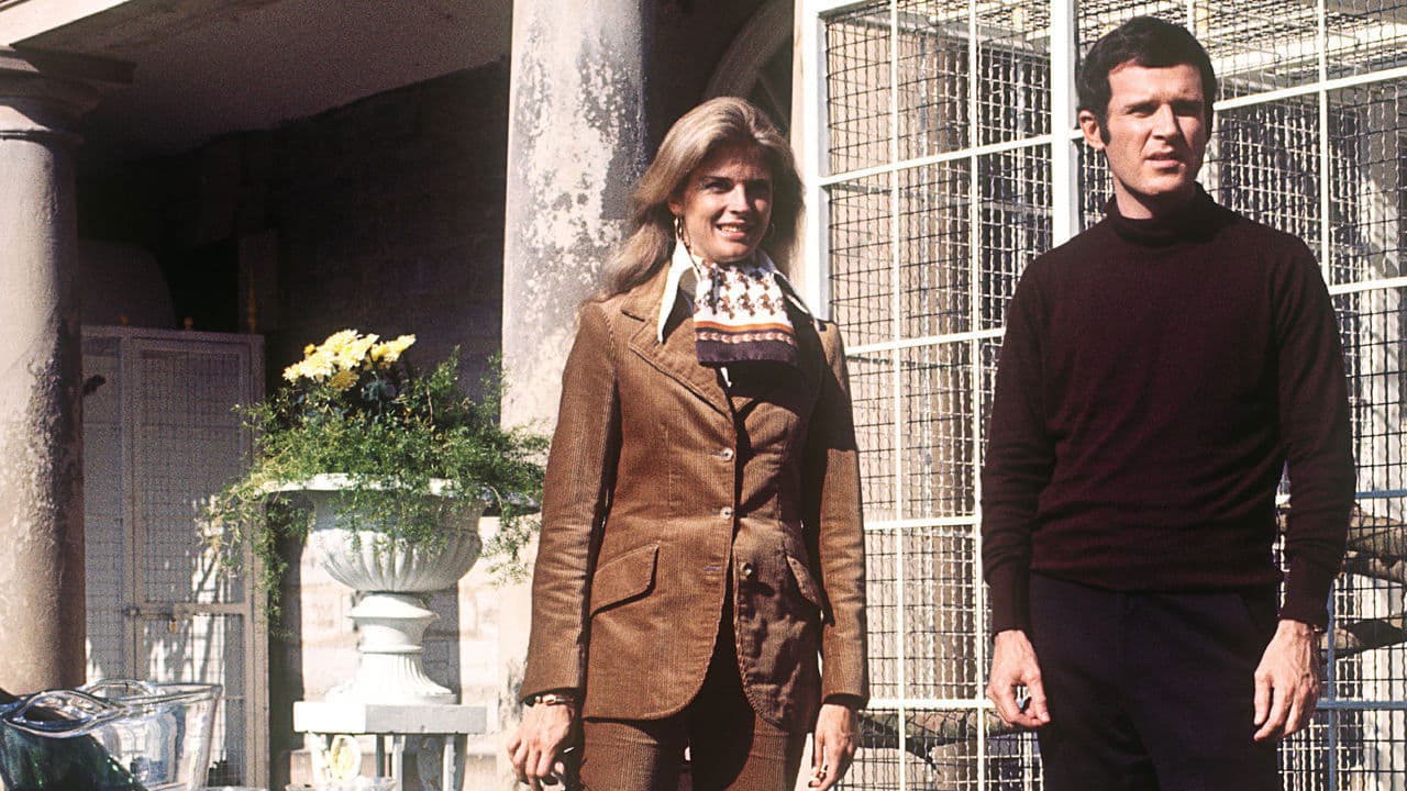 Backdrop – Brillanten und Kakerlaken