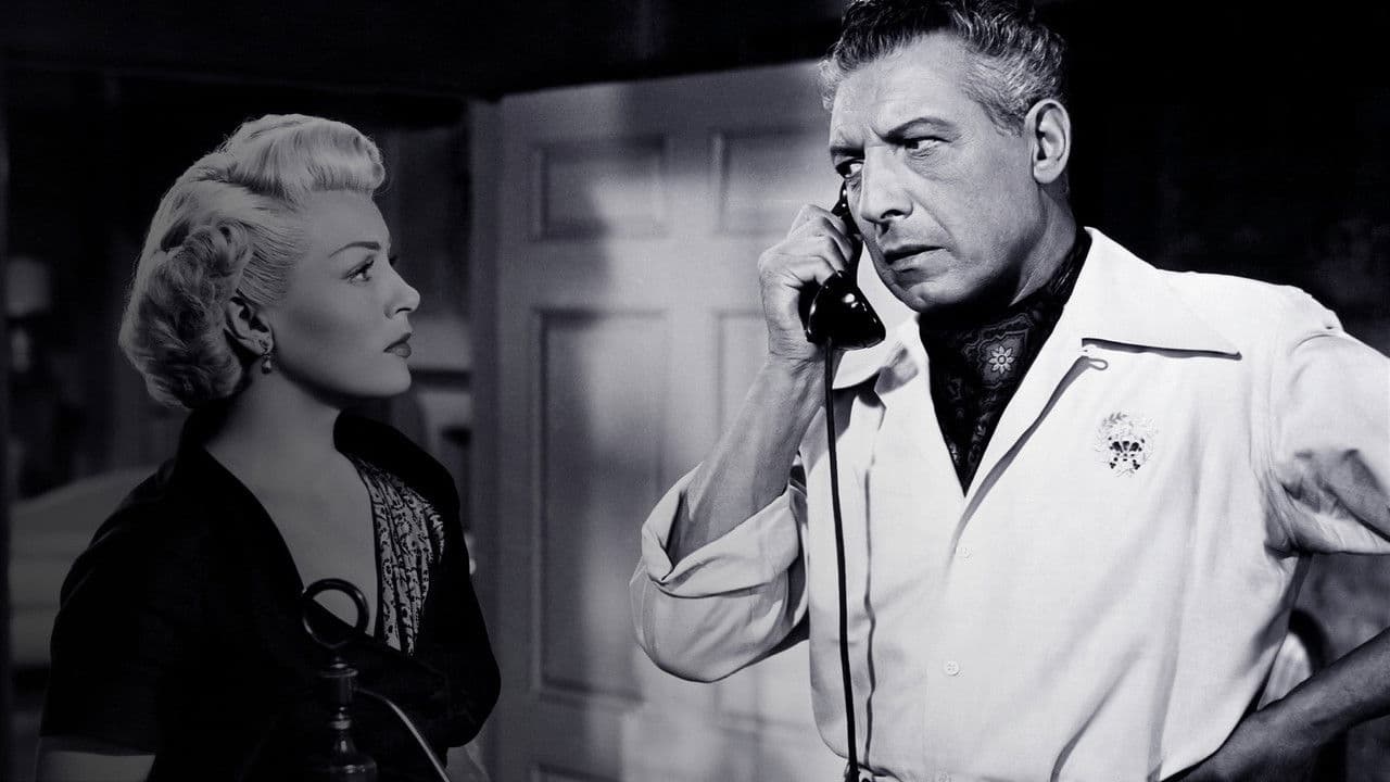 Backdrop – Mr. Imperium