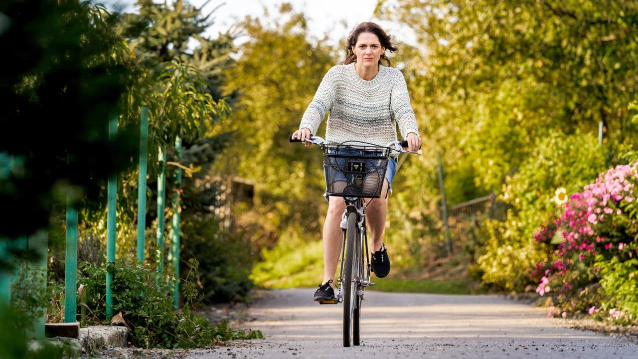 Backdrop – Tichý společník