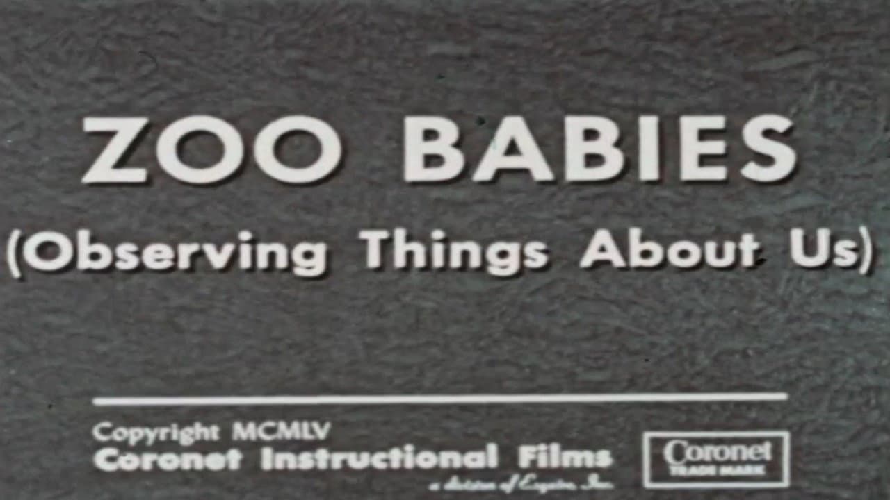 Backdrop – Zoo Babies (Observing Things About Us)