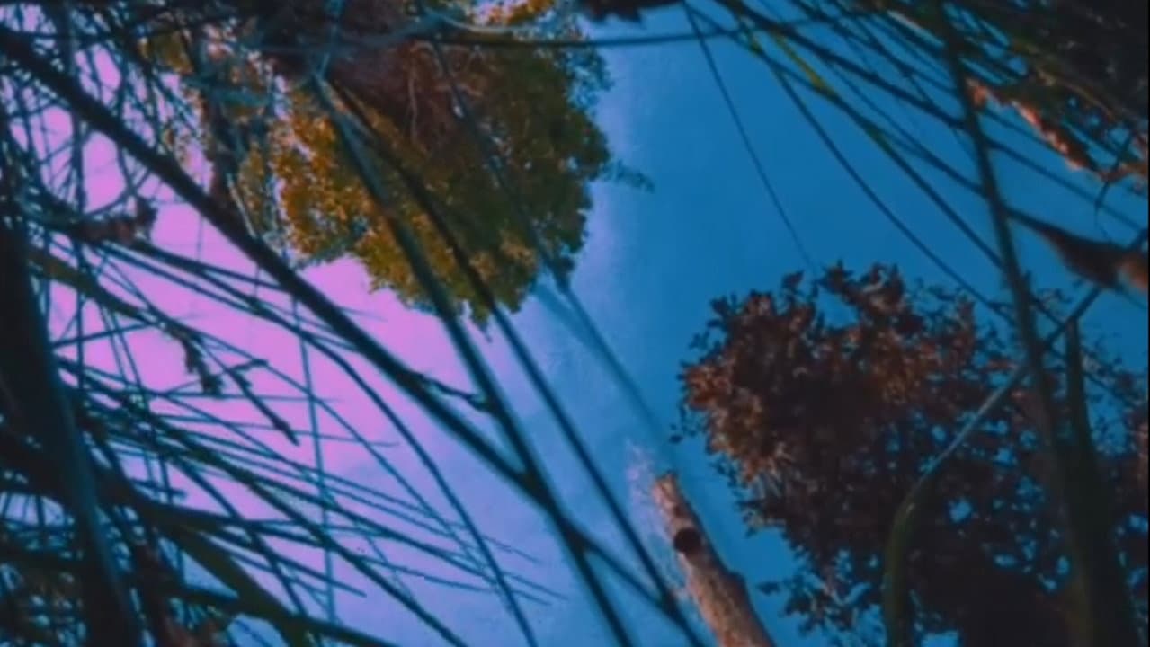Backdrop – Hər Şeyin Nostaljiyası