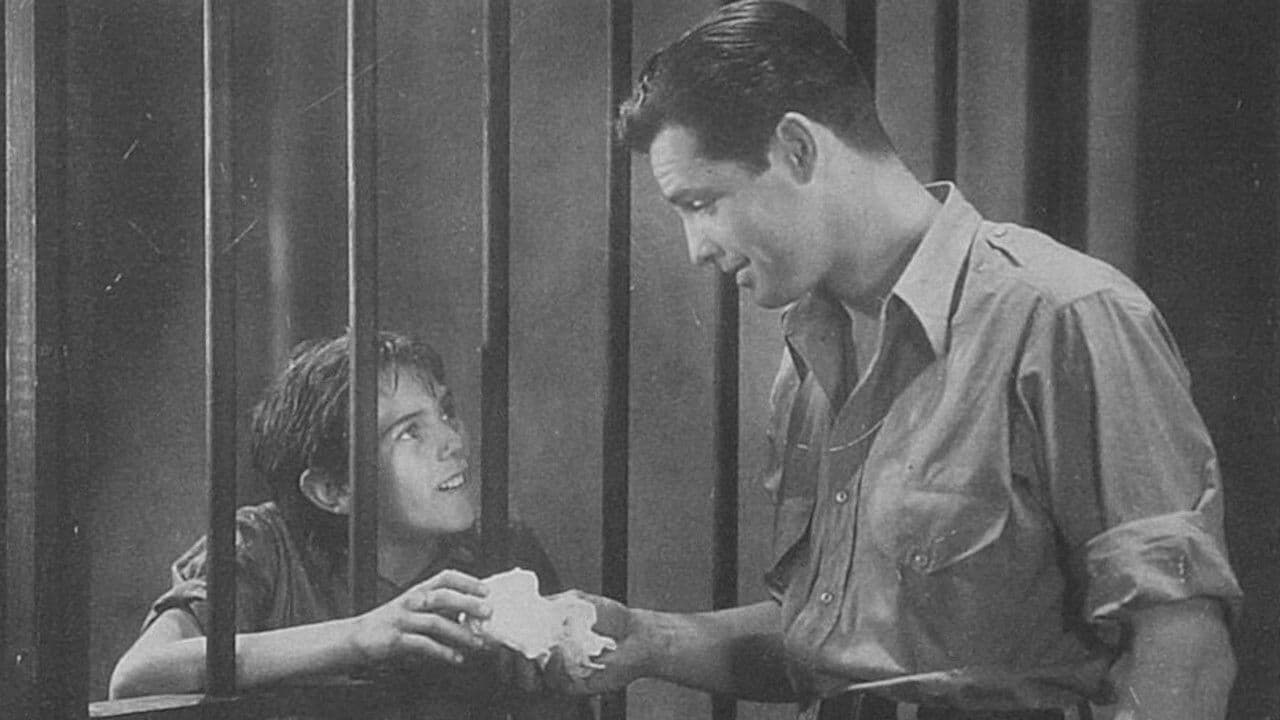 Backdrop – Thunderbolt