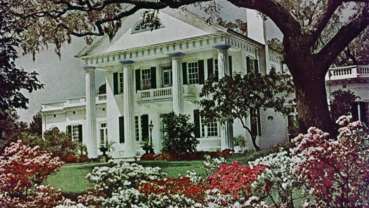 Backdrop – Nackt im Sommerwind