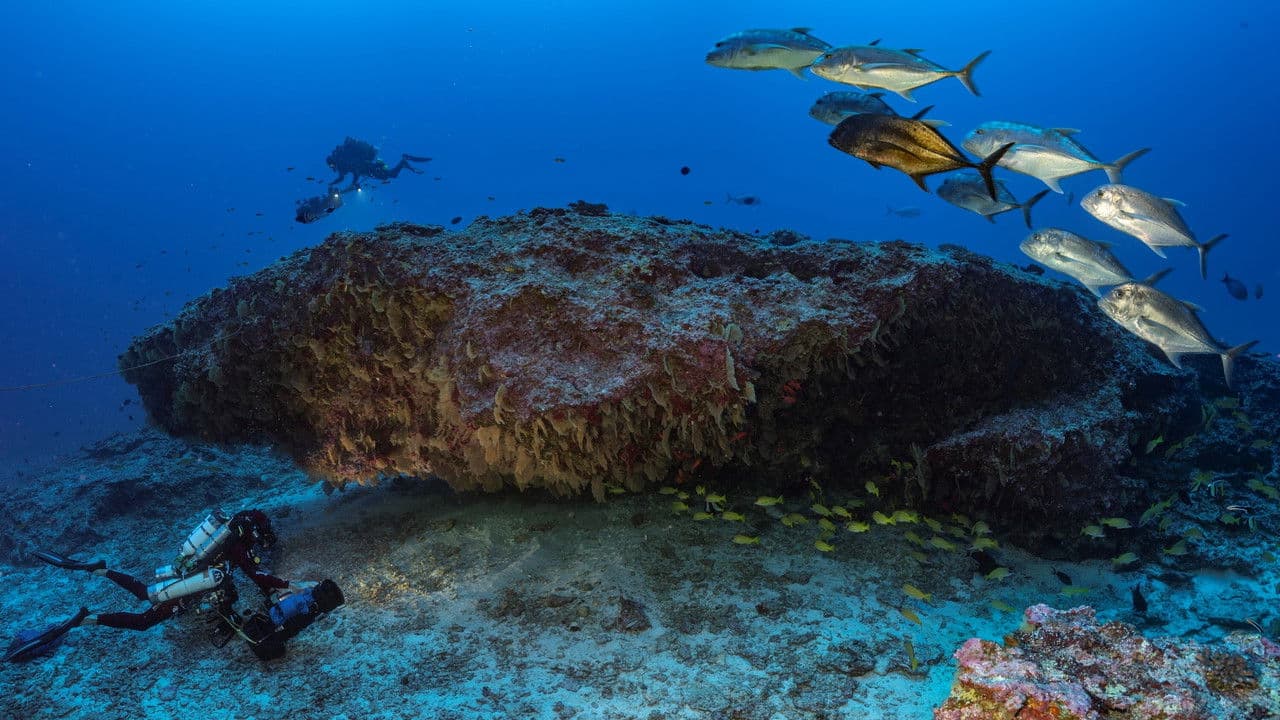 Backdrop – Geheimnisvolle Unterwasserwelt im Indischen Ozean