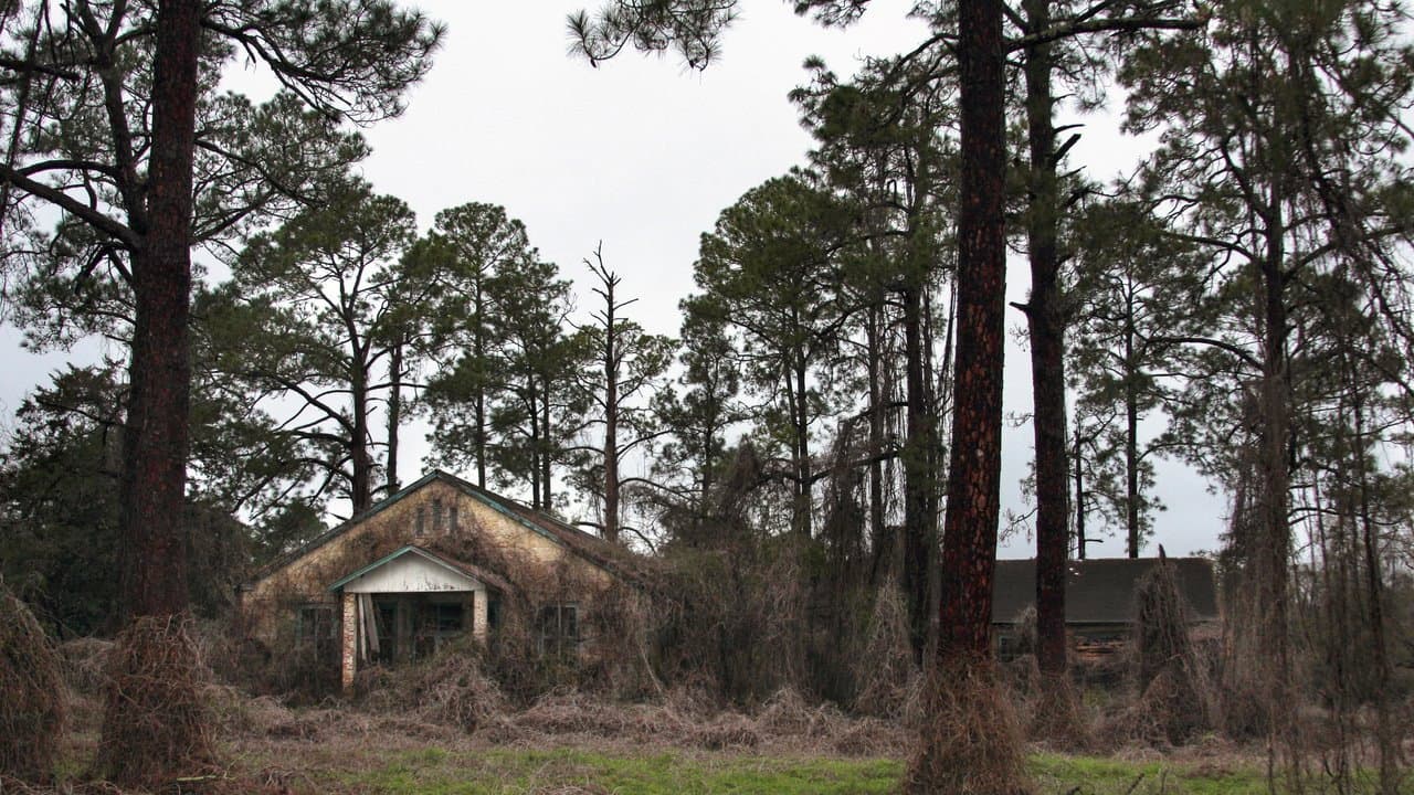 Backdrop – Deadly Secrets: The Lost Children of Dozier