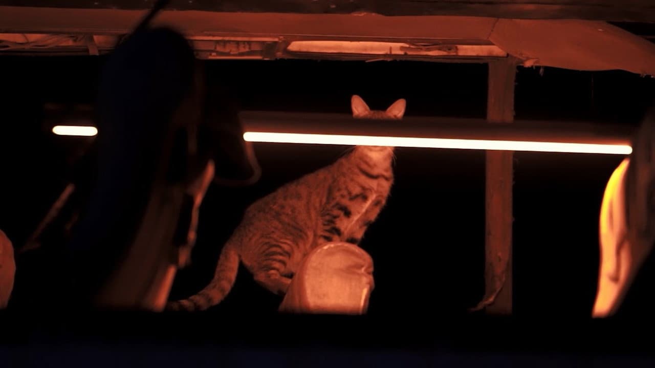 Backdrop – فتاة مع جدار منزلها الجديد