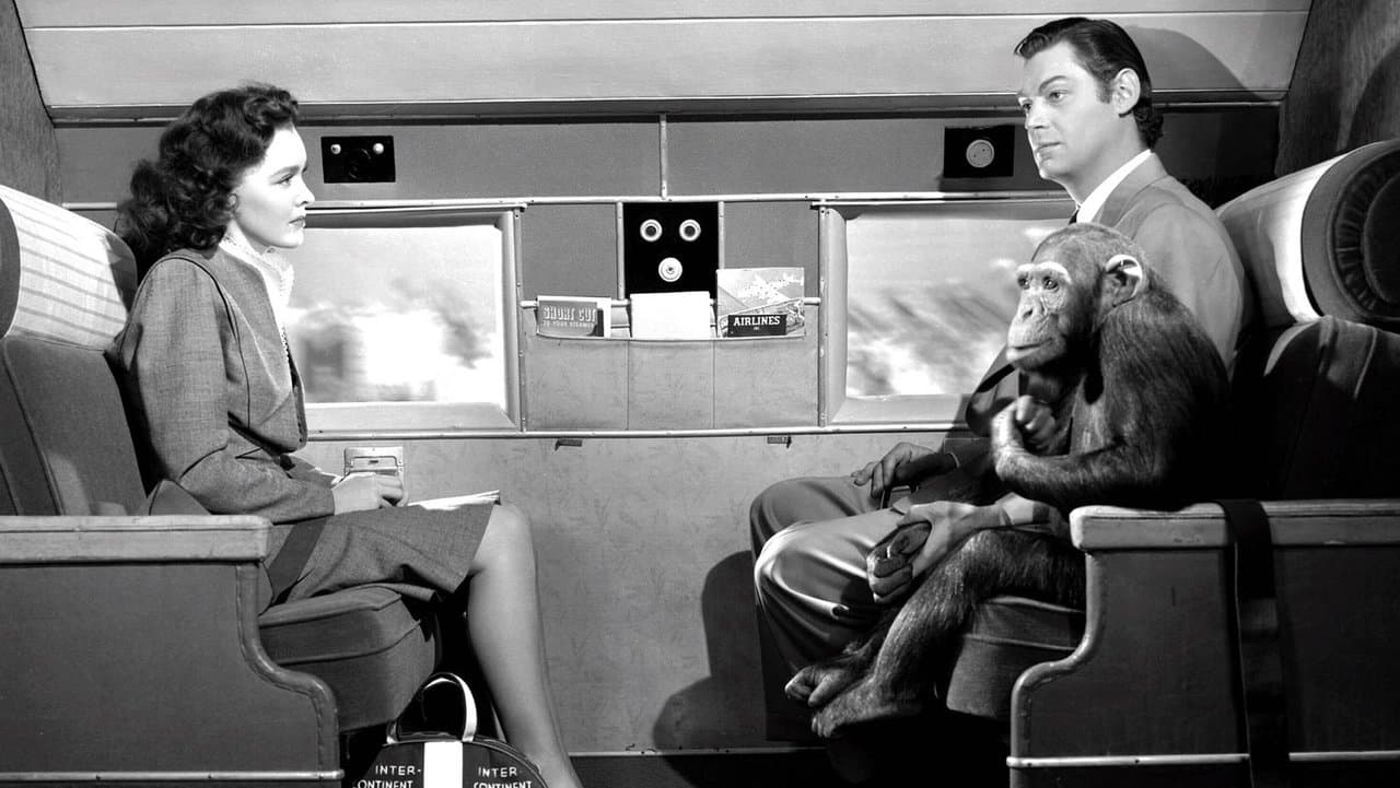 Backdrop – Tarzans Abenteuer in New York