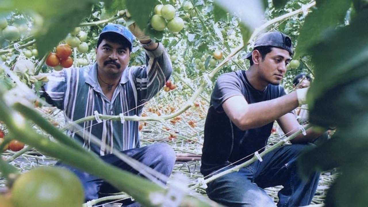 Backdrop – El Contrato