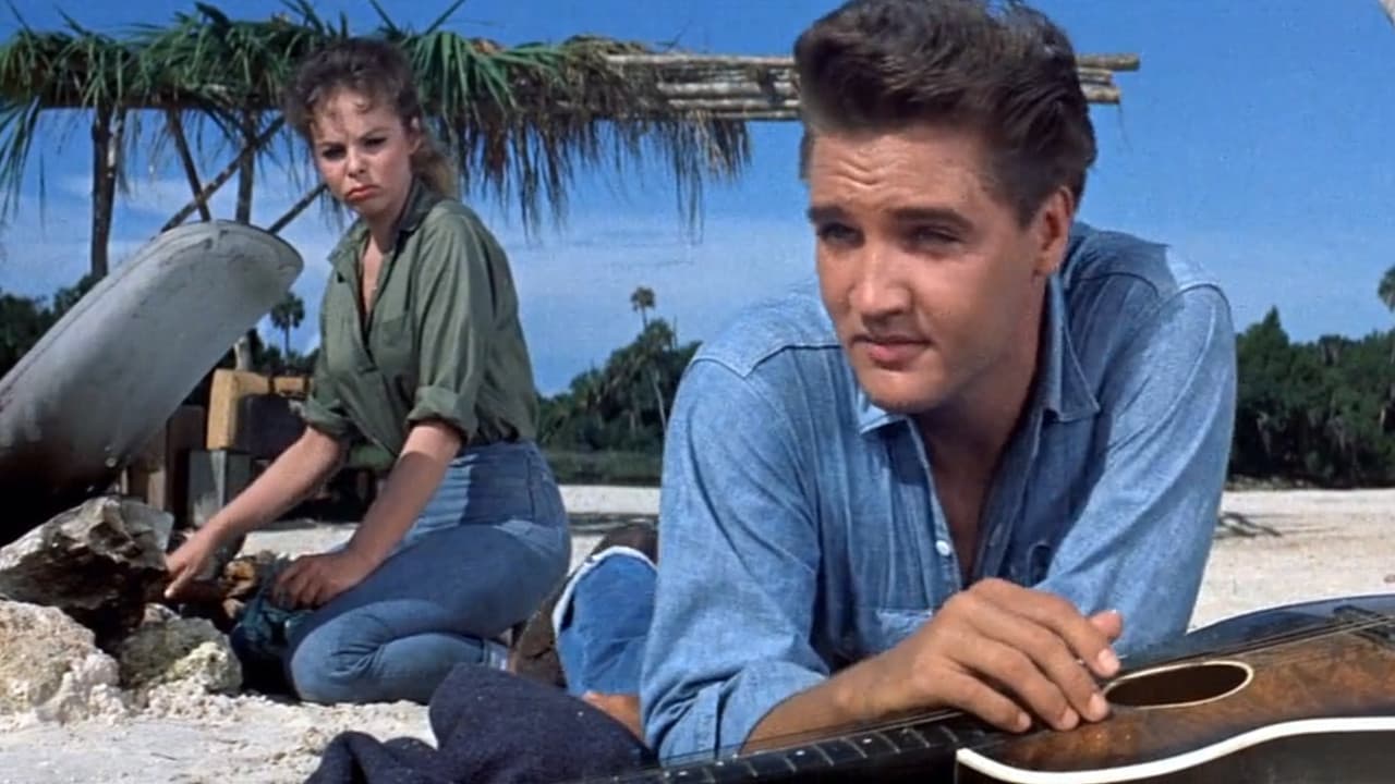 Backdrop – Ein Sommer in Florida