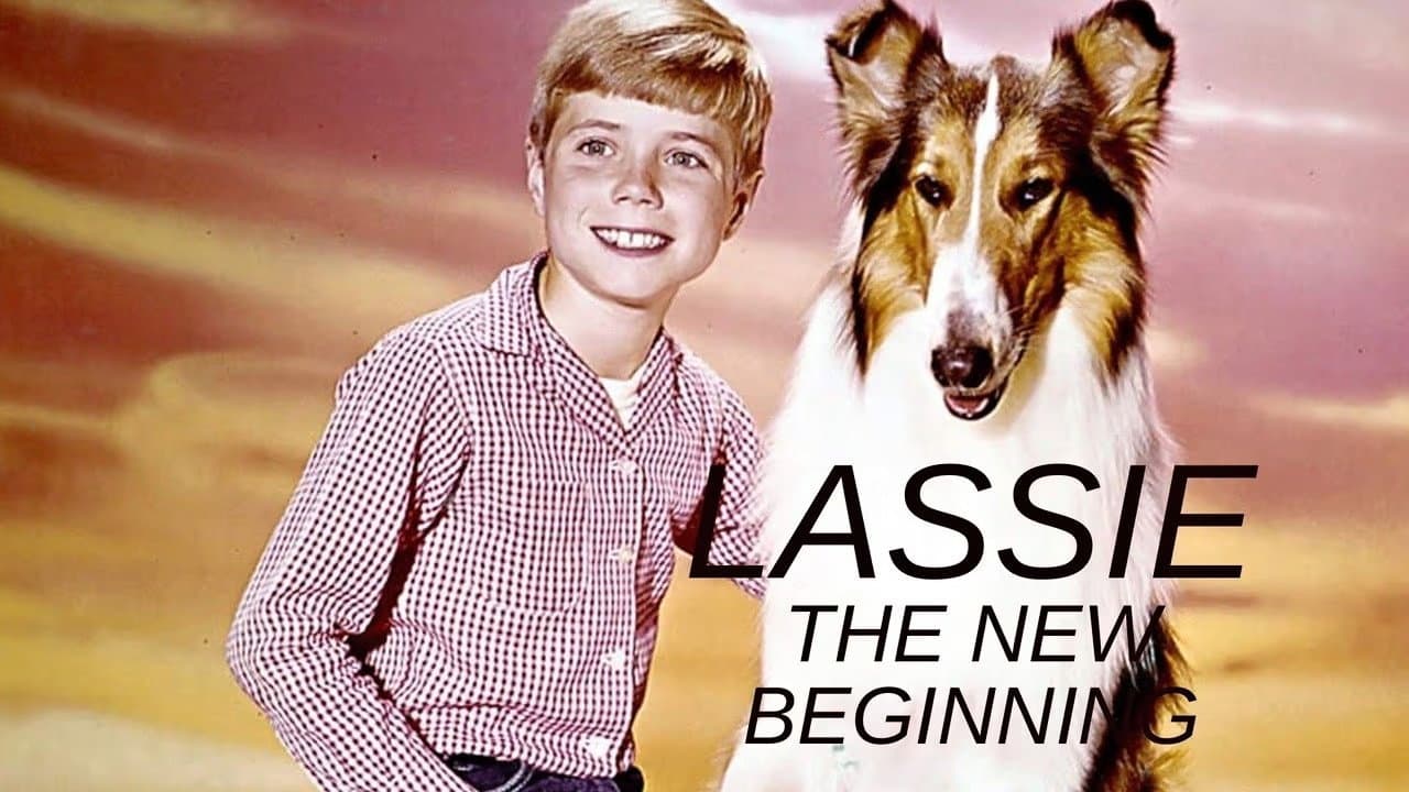 Backdrop – Lassie - Ein neuer Anfang