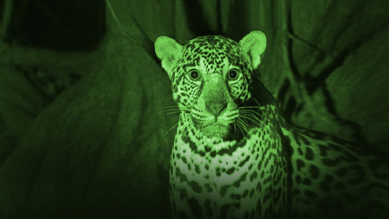 Backdrop – Tatort Strand