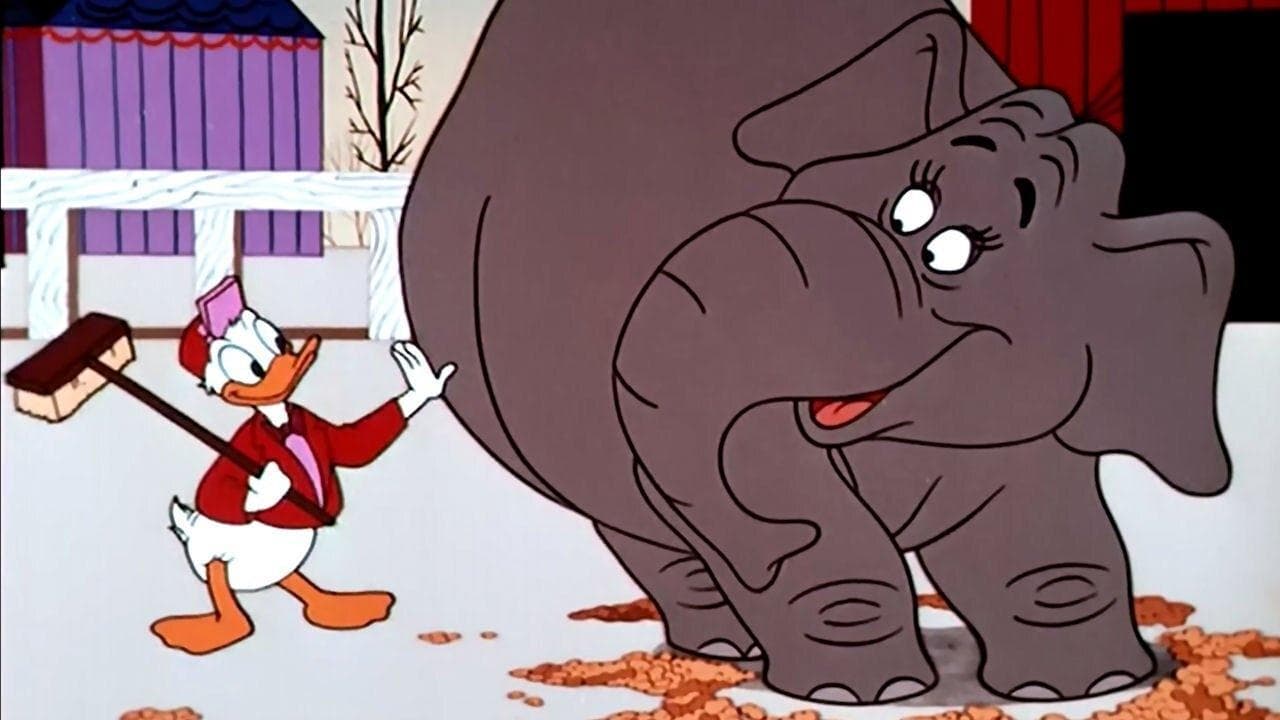 Backdrop – Alles für die Nuss