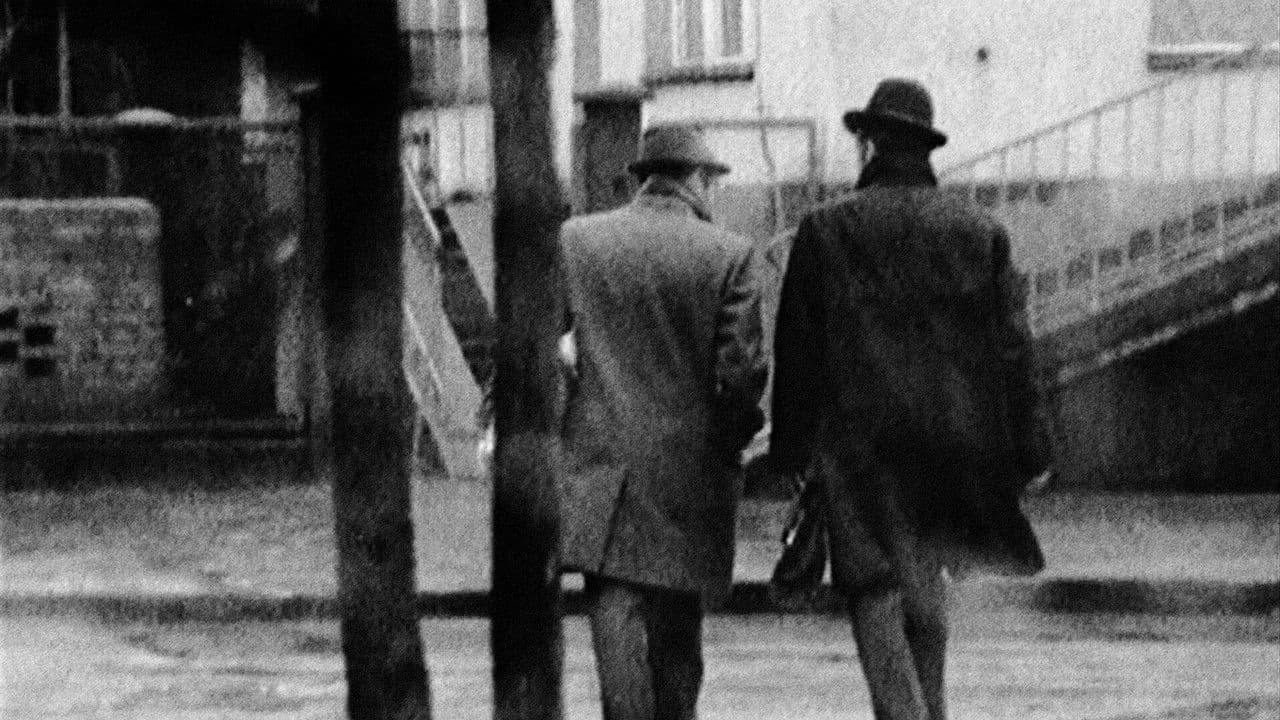 Backdrop – Zwyczajny kraj