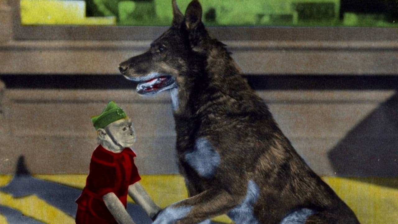 Backdrop – Rinty of the Desert