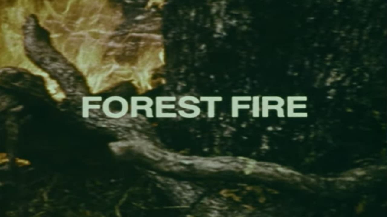 Backdrop – Your Chance to Live: Forest Fire