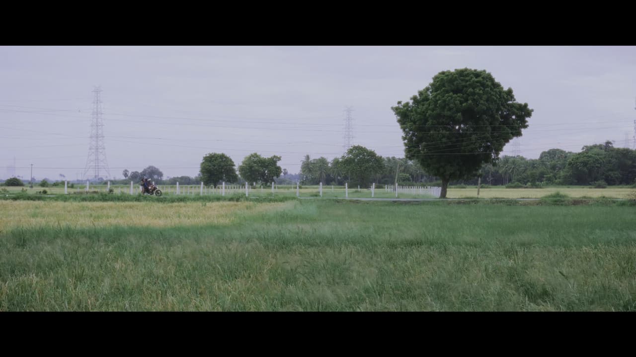 Backdrop – The Show Man