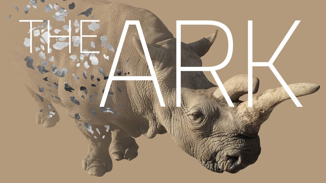 Backdrop – The Ark