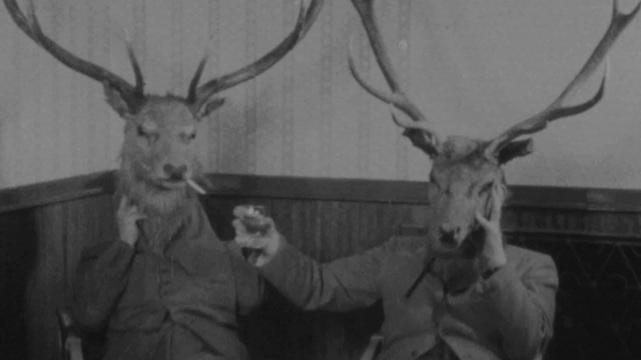 Backdrop – Pitlochry Welcomes You