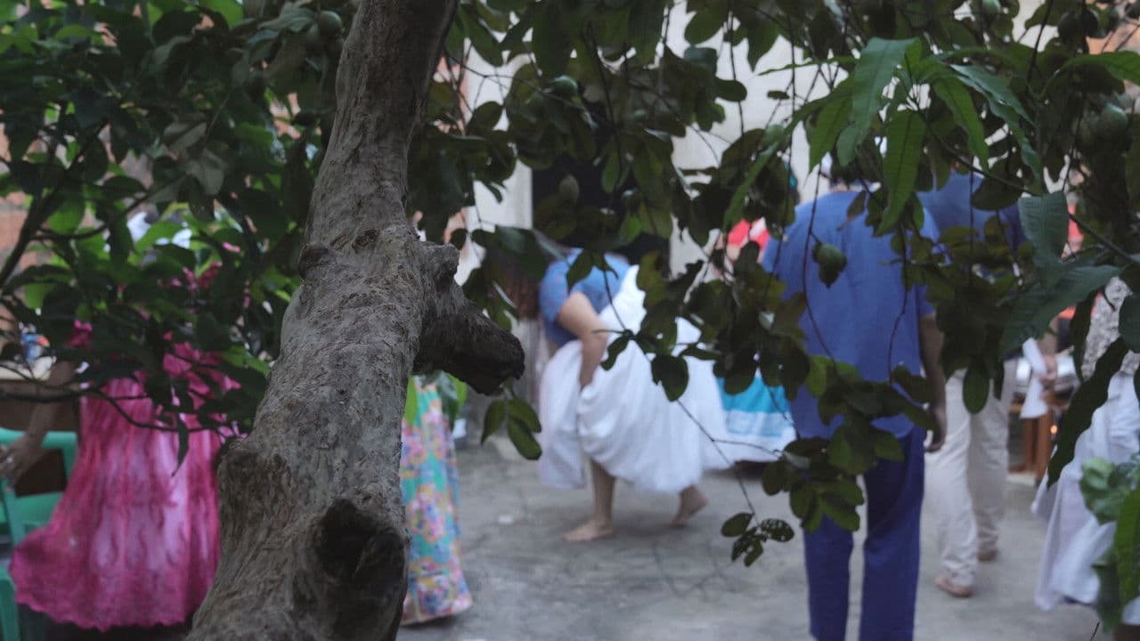 Backdrop – Selado em Cicatriz