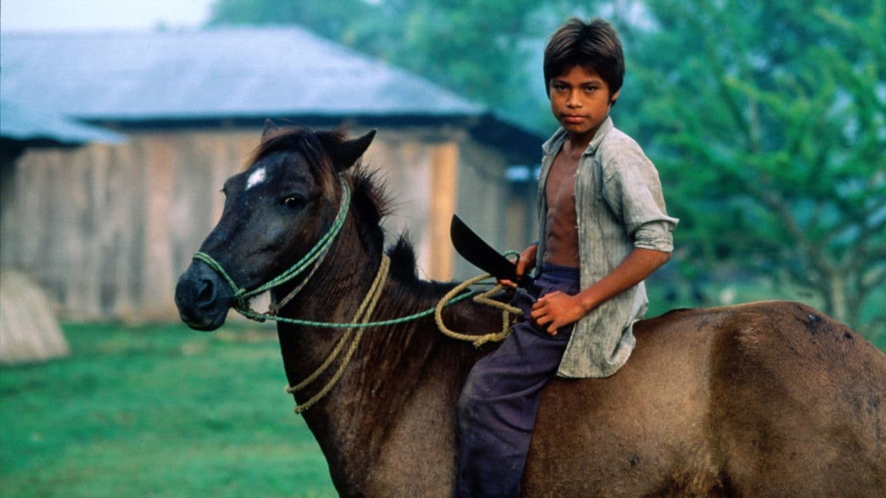 Backdrop – A Place Called Chiapas