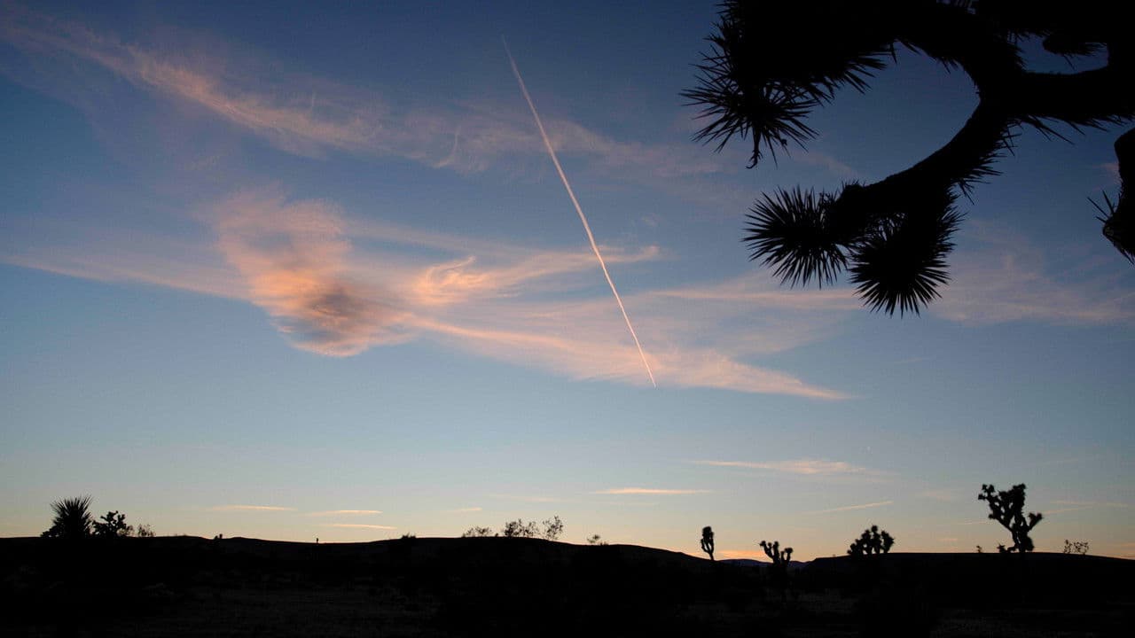 Backdrop – Existential Action Thriller