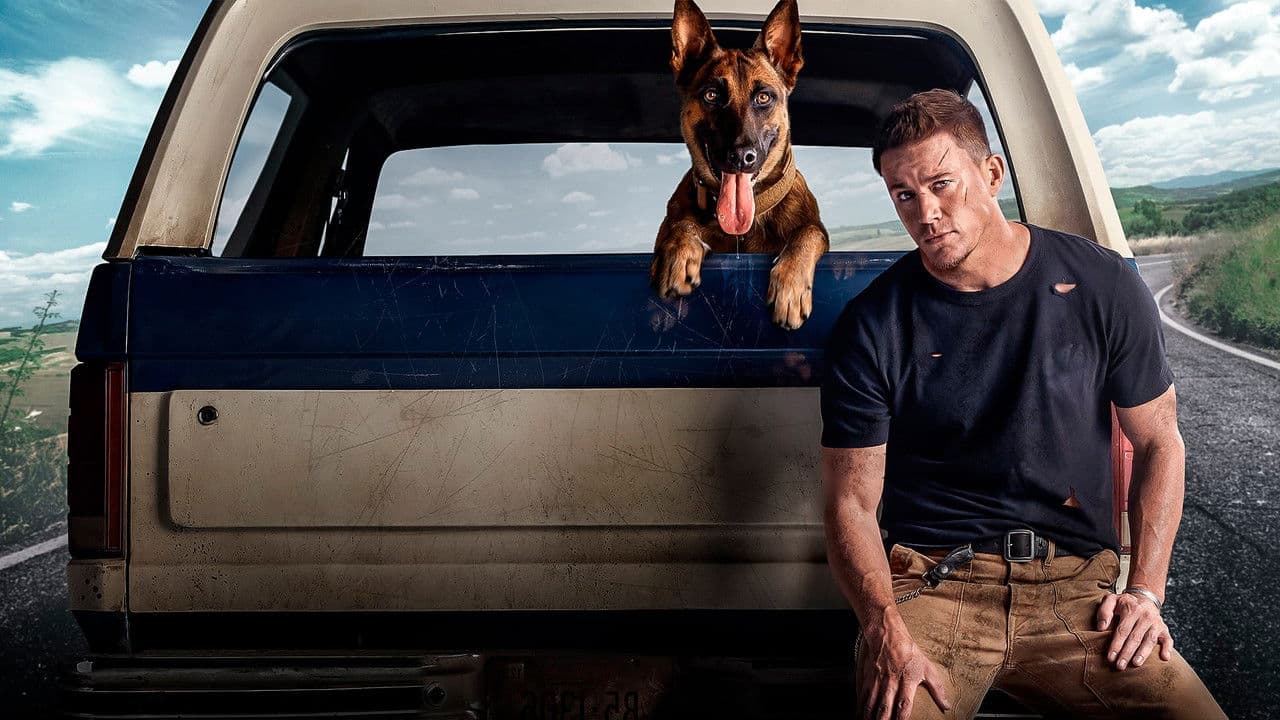 Backdrop – Dog