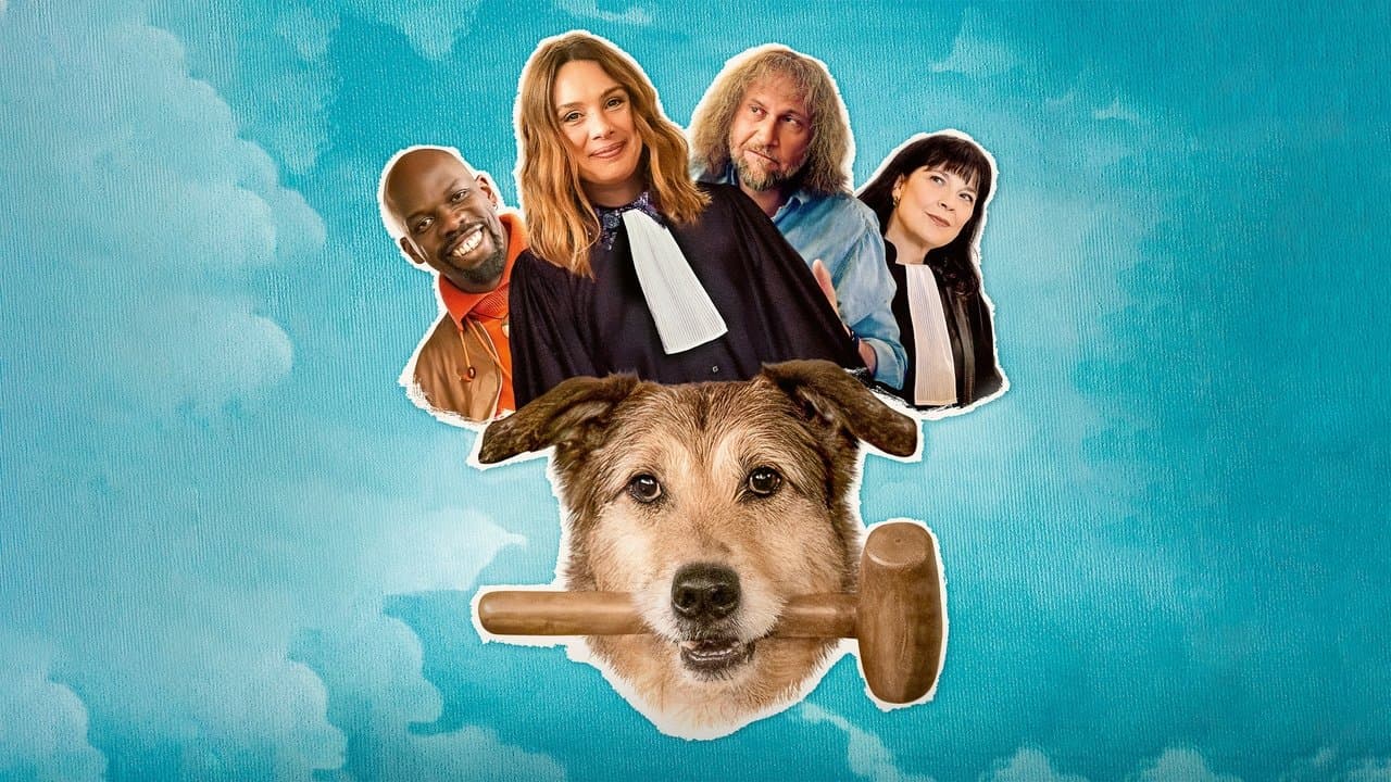 Backdrop – Hundschuldig