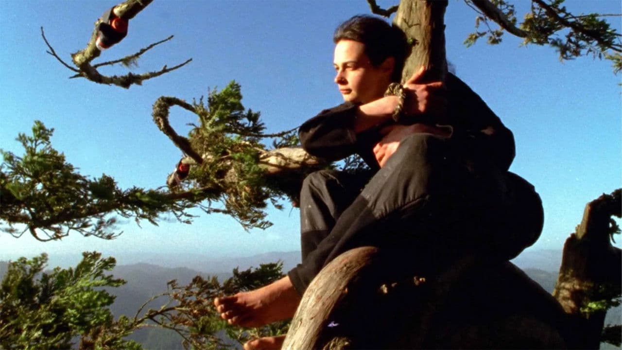 Backdrop – Butterfly