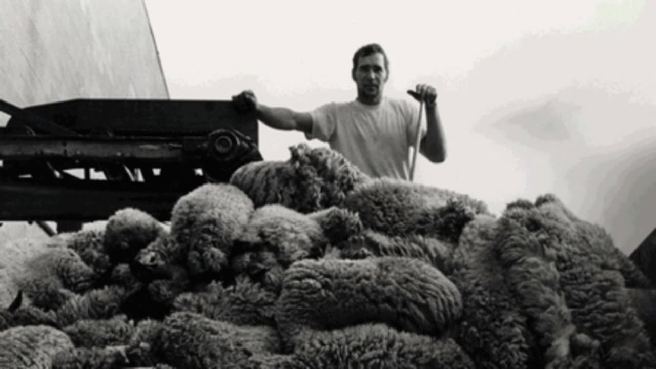 Backdrop – Fleisch