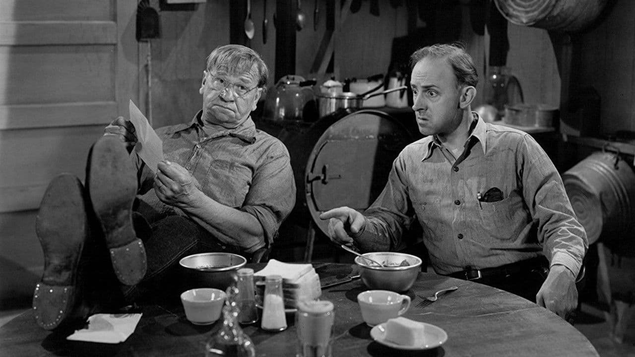 Backdrop – Alias a Gentleman