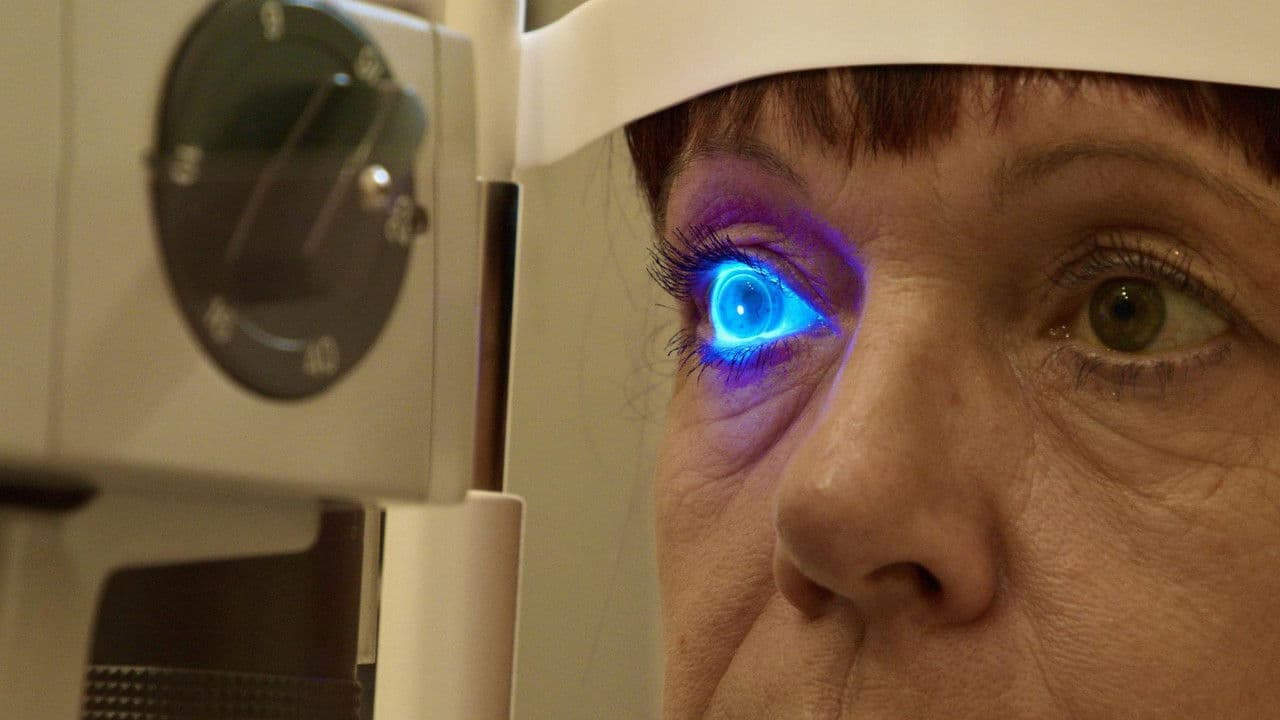 Backdrop – Das Auge - Forschung sehen