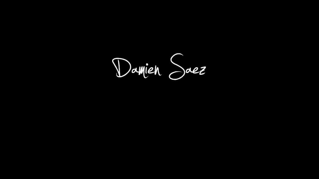 Backdrop – Damien Saez en live au Summum 2013