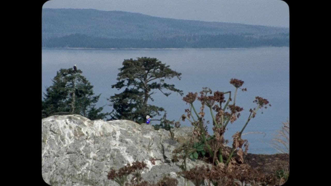 Backdrop – The Stand