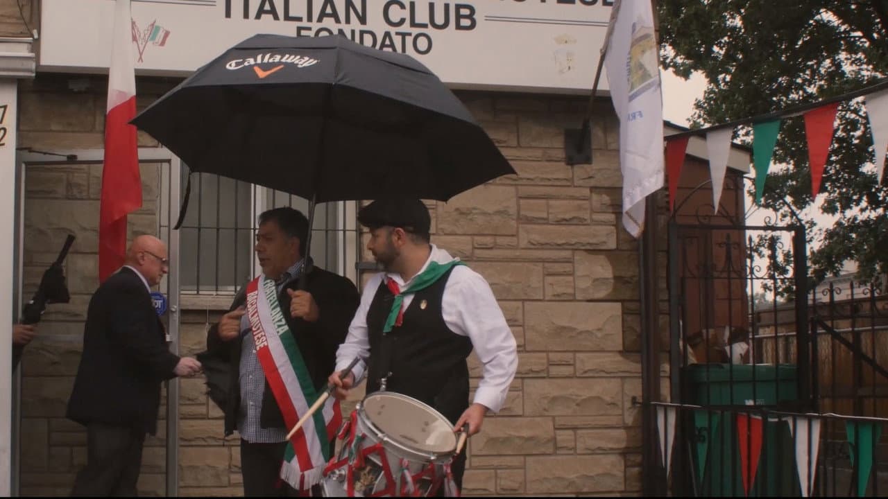 Backdrop – Festa - Hamilton