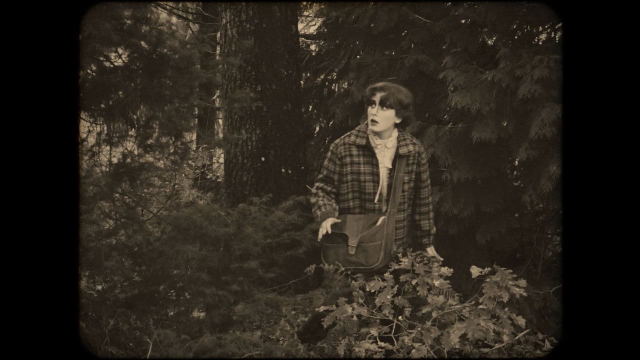 Backdrop – Viajante 1