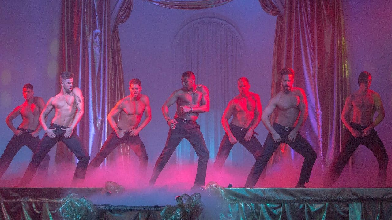 Backdrop – Stars der Nächte