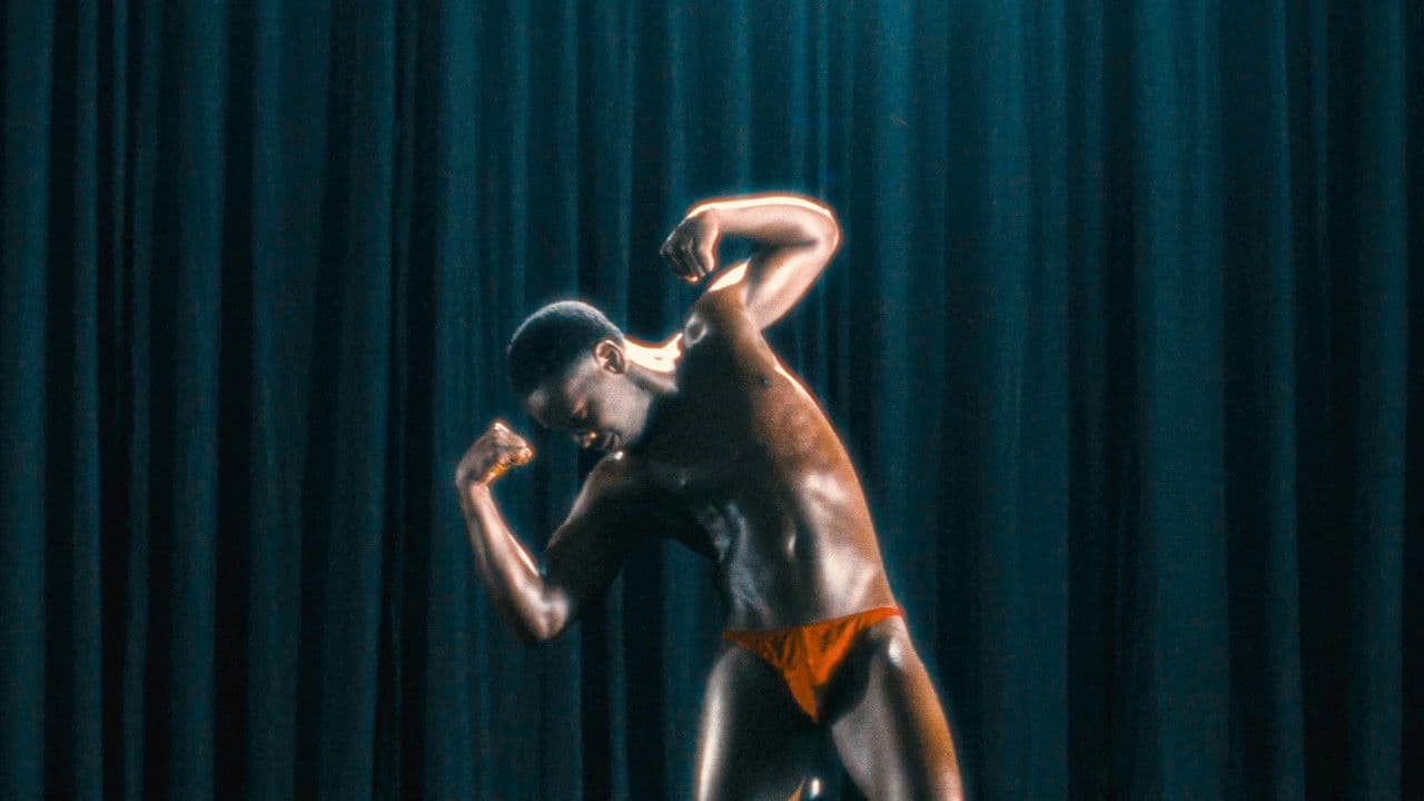 Backdrop – West of Greatness: The Story of the Westwego Muscle Boys