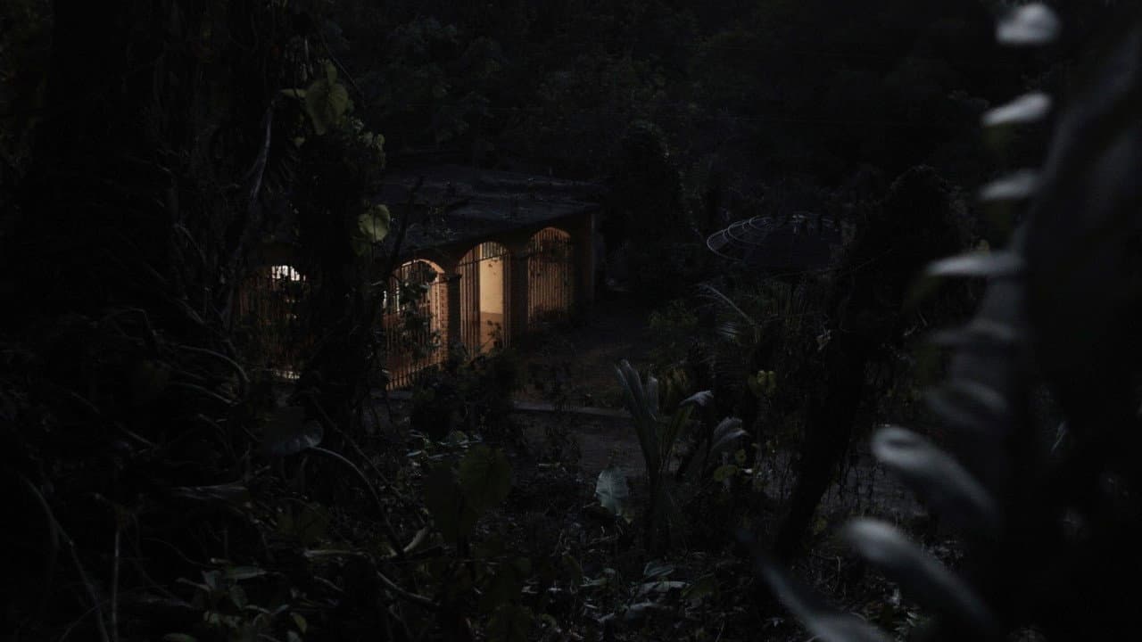 Backdrop – Desvío de noche