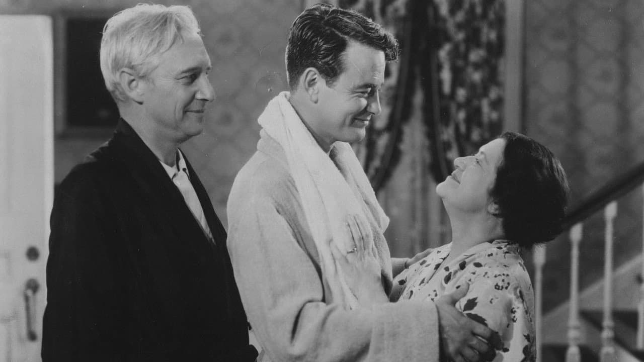 Backdrop – Dr. Kildare – Sein erster Fall