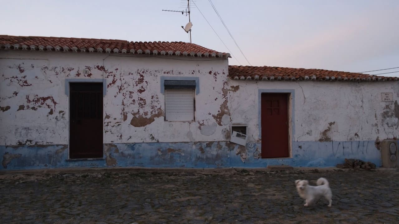 Backdrop – Ceifeira