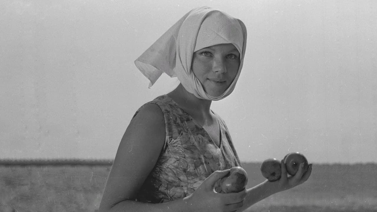 Backdrop – Осенние свадьбы