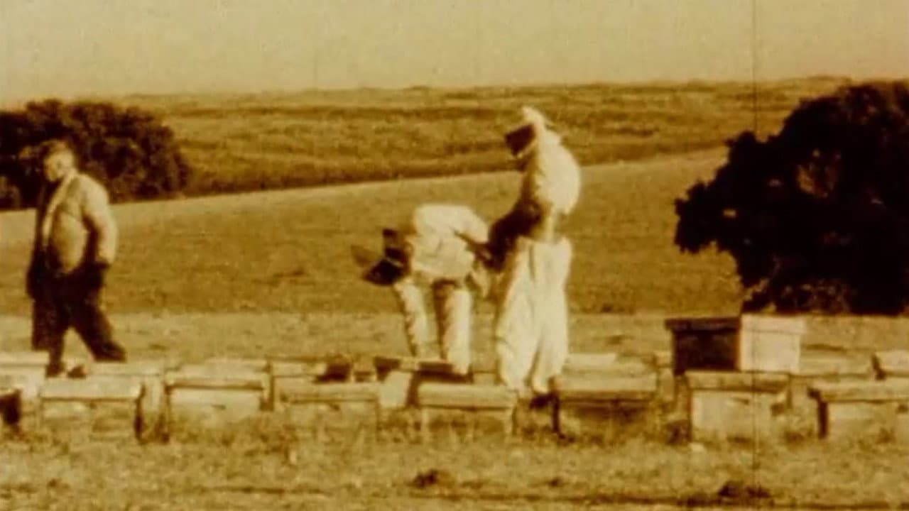 Backdrop – Oliva Oliva