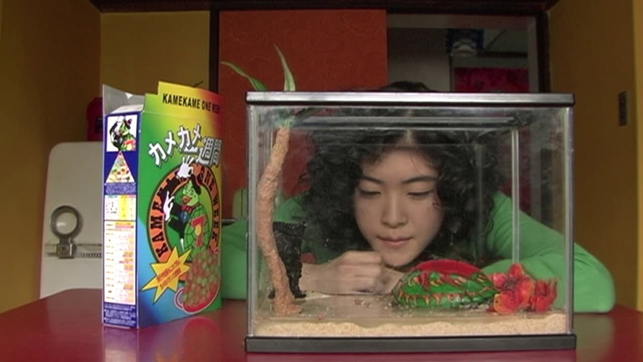 Backdrop – 亀は意外と速く泳ぐ