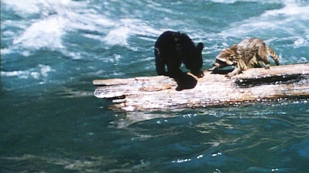 Backdrop – Die Geschichte Zweier Tiere