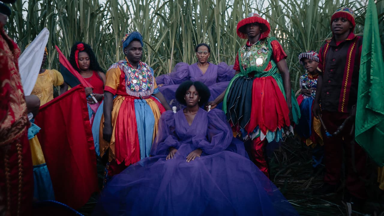 Backdrop – Sugar Island