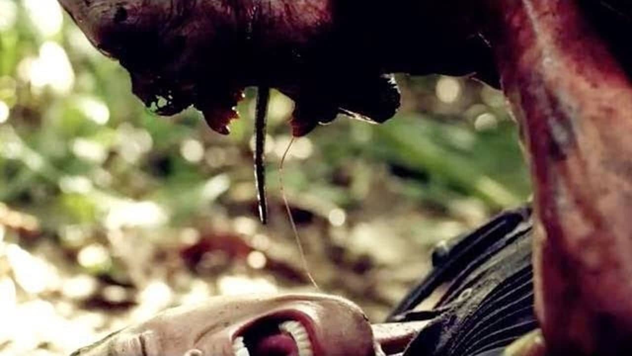 Backdrop – Indigenous