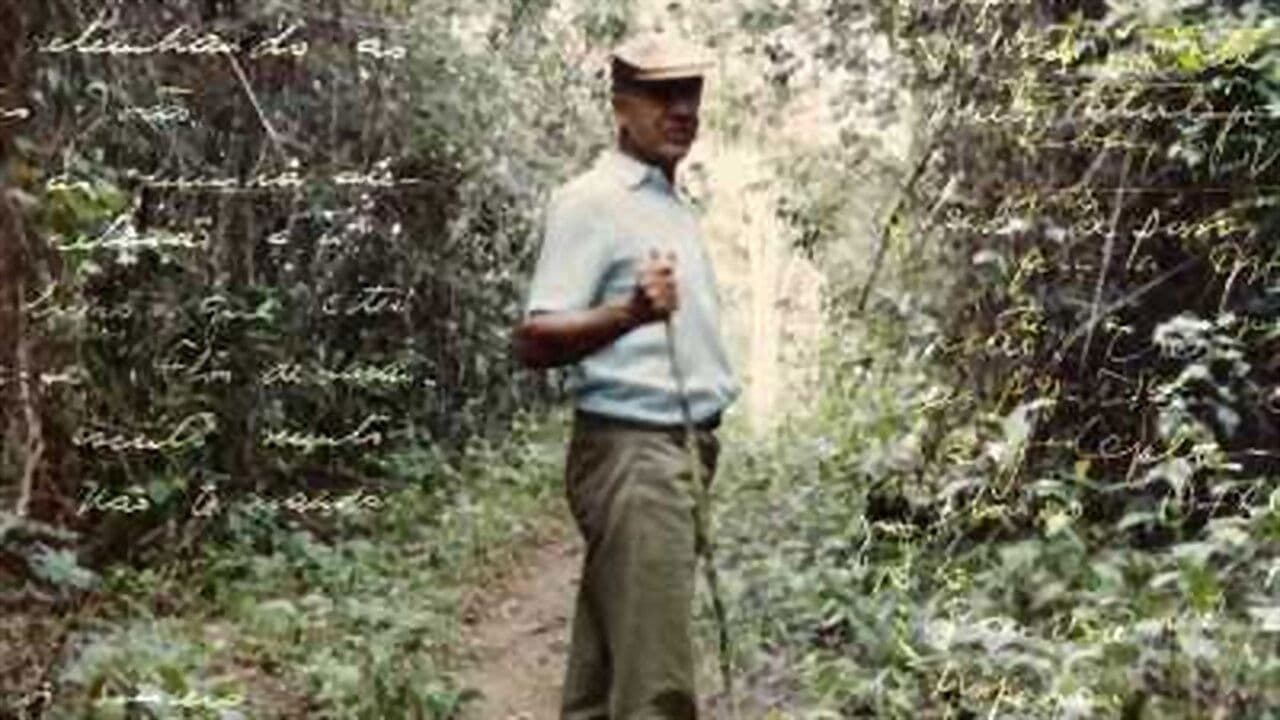 Backdrop – Dr. Ocride